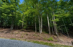 146 Sassafrass Road, Beech Mountain, NC 28604