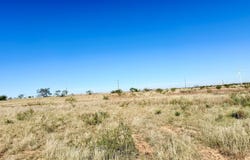 12525 FM 2835, Snyder, TX 79549