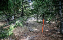 Lot 37 Sun West Ranch, Cameron, MT 59720