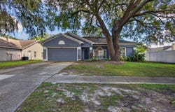 10306 EARLY MIST Lane, RIVERVIEW, FL 33569