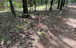 TBD Trestle  ST, Winslow, AR 72959