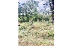 294 E Dade 68, Greenfield, MO 65661