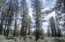 Moccasin Lane, Chiloquin, OR 97624