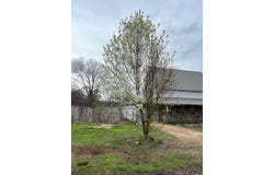 695 Summit Avenue, Mammoth Spring, AR 72554