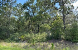 11774 N Shenandoah Way, Citrus Springs, FL 34433