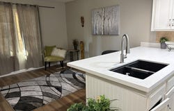 461 W Holmes Avenue, Mesa, AZ 85210