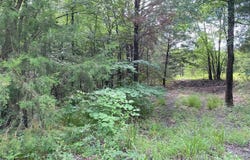 00 Rs County Road 1605, East Tawakoni, TX 75472