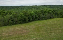 Lot 16 Duvall Rd, Caneyville, KY 42721