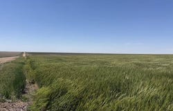 000 E ROAD 250, DIGHTON, KS 67839