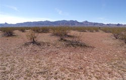 3397 S Signal Road, Golden Valley, AZ 86413