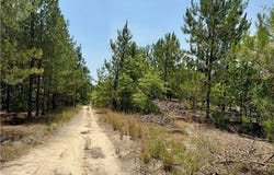 TBD 2 North Turnpike Road, Wagram, NC 28396
