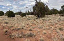 Tbd N5505, Concho, AZ 85924