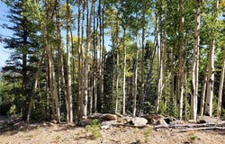 400 Long Road RD, Out of State, CO 80452