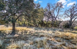 1731 Tiffany Lane, Glen Rose, TX 76043