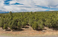 Lot 6 Waterview Court, Ridgway, CO 81432
