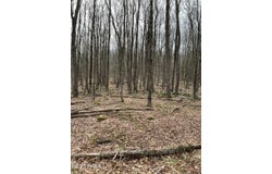 Lot 270 Radcliff Lane, Newfoundland, PA 18445