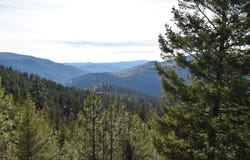 70 EXCELSIOR WAY, CURLEW, WA 99118