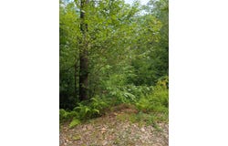 R13/038 Weeks Road, Parsonsfield, ME 04047