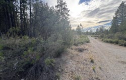 0 Partin Drive, Beatty, OR 97621