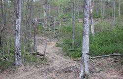 0 Routt Road, Wallingford, KY 41093
