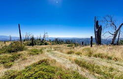 11111 Lower Cressman Road, Shaver Lake, CA 93664