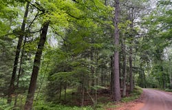 On STEELE RD, Harshaw, WI 54529