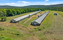 17117 Dutch Mills Road S, Lincoln, AR 72744