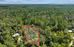 1528 NE PALM Street, Steinhatchee, FL 32359