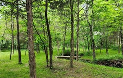 13795 Klondike Road, De Soto, MO 63020
