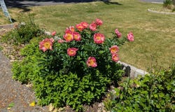 331 N Quincy Ave, Hines, OR 97738