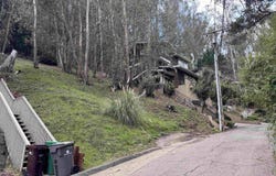 6855 The Turn, Oakland, CA 94603