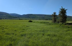 1380 S SORENSEN Way, Alta, WY 83414