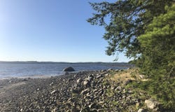 103 Moose Trail Road, Waltham, ME 04605