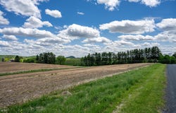 3.67 Ac Section 11 Road, La Valle, WI 53941