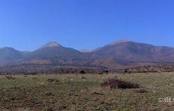 1300 Running Bear, Cotopaxi, CO 81223