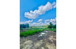 0 Highway 195, Ashridge, AL 35553