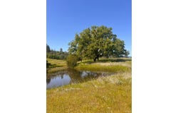 23040 Poonkinney Road, Covelo, CA 95428
