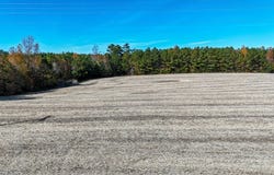 5660 Longview Drive, Kenbridge, VA 23944