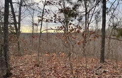 0 125.87ac Tract A-2 Clear Creek Road, Richwoods, MO 63071