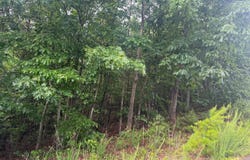 00 Pineknoll Drive, Hickory, NC 28602