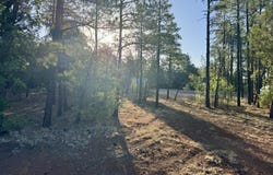 Tbd White Mtn Blvd 212-09-108Q, Lakeside, AZ 85929
