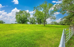 18760 Leon Wiggins Road, See Remarks, AL