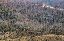 Skyland Drive, Marietta, SC 26661