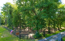 5565 Huckleberry Lane, McClellanville, SC 29458