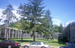 17161 REDFORD Street, Detroit, MI 48219