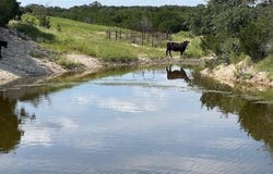 Rifle Ridge lot: 22, Burnet, TX 78611