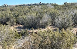 County Rd 4102, Hermleigh, TX 79526