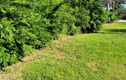 209 E 1st Street, Springtown, TX 76082