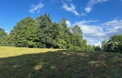 4620 Cedar Flat Curtis Road, Edmonton, KY 42129