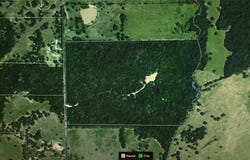 County Road 3543, Saltillo, TX 75457